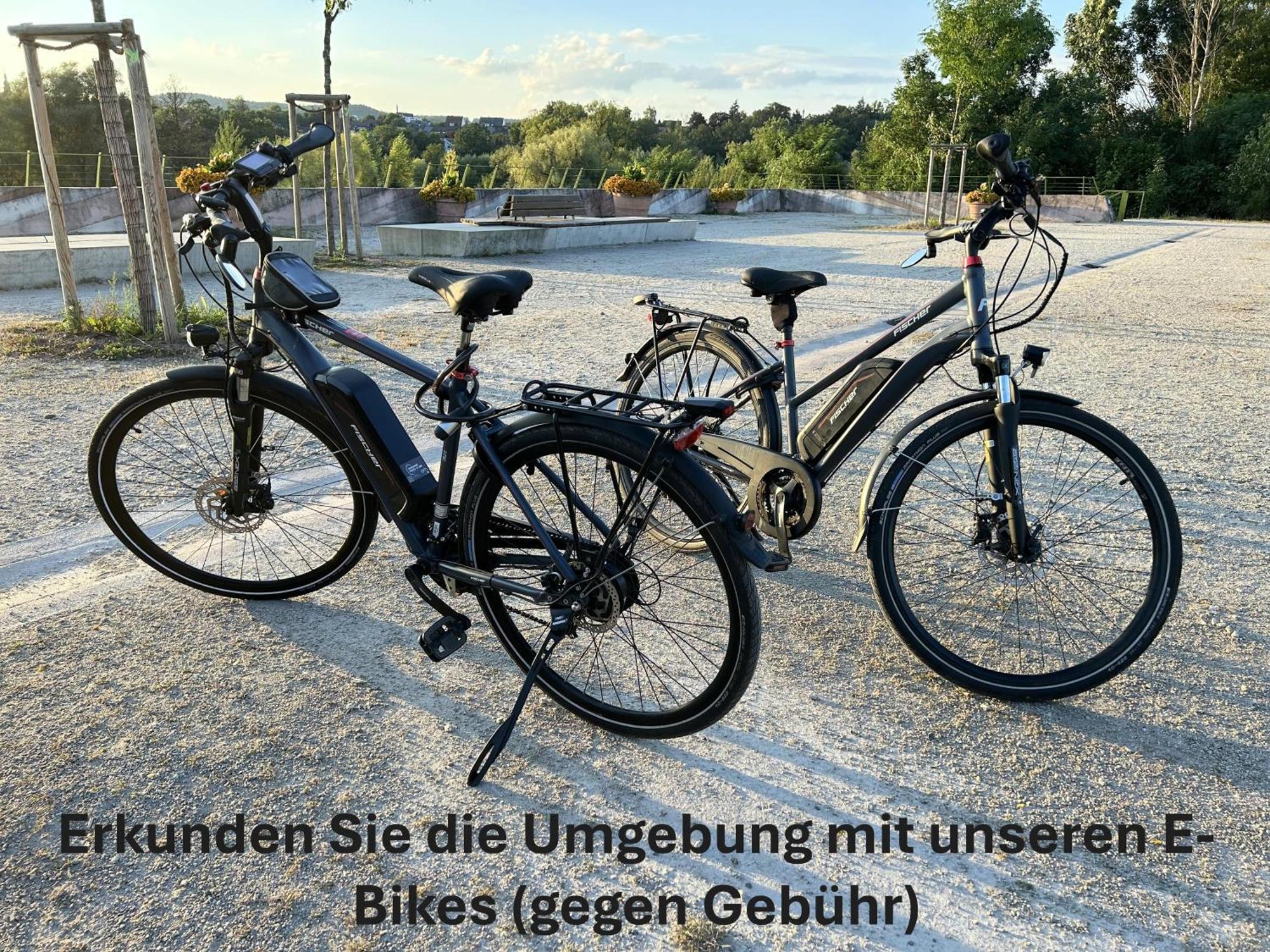 Apartment Grosszuegige Mit Terrasse Und Gartenzugang - Komplette Erdgeschoss