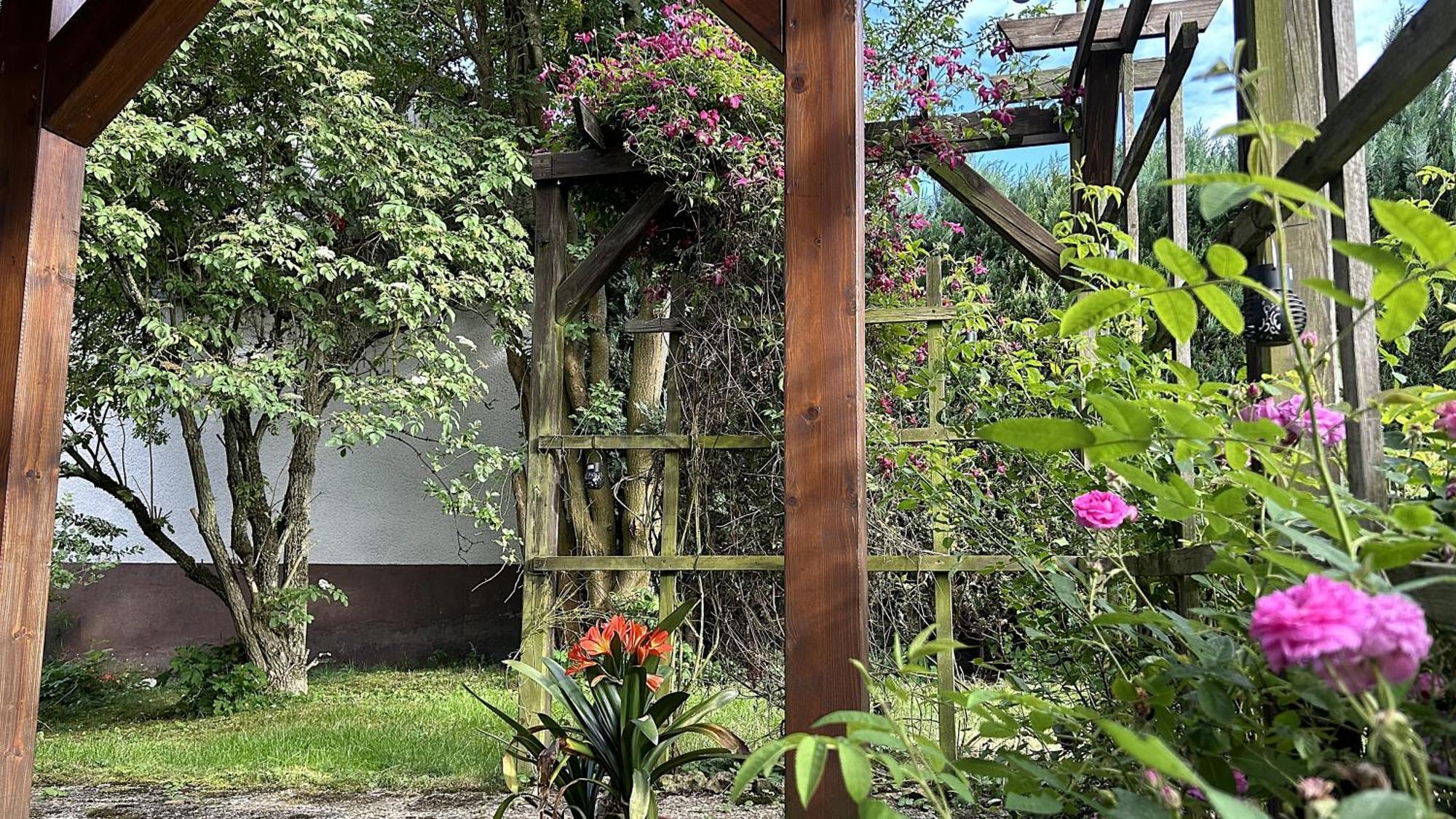 Grosszuegige Mit Terrasse Und Gartenzugang - Komplette Erdgeschoss Bindlach